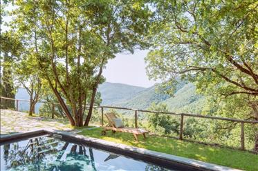 Elegant Hilltop Villa Complex: Where Luxury Meets Nature