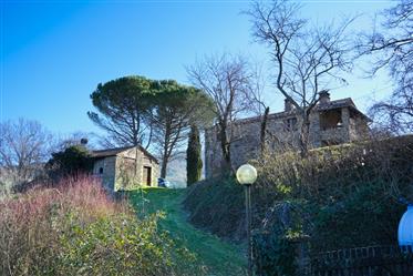  "Charming Stone Farmhouse with Annexes, Pool, and Land for Sale in Umbertide.