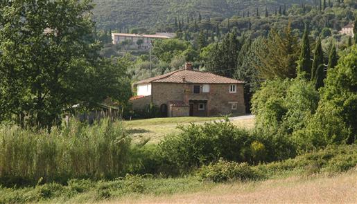 Bauernhaus mit Seeblick