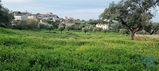 Terrain agricole à Portalegre de 8750,00 m²