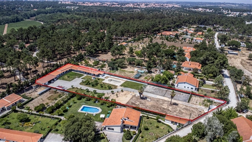 Quinta com 5.000 m2 em Azeitão - Quinta do Picão