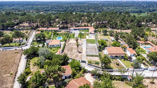 Boerderij met 5.000 m2 in Azeitão - Quinta do Picão