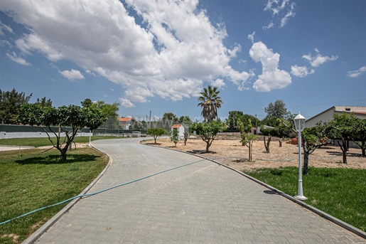 Quinta com 5.000 m2 em Azeitão - Quinta do Picão