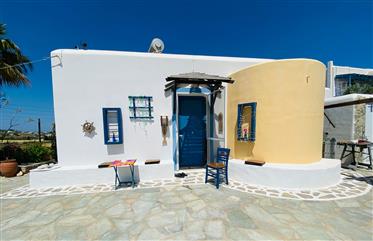 Jolie villa avec vue sur la mer à Paros 