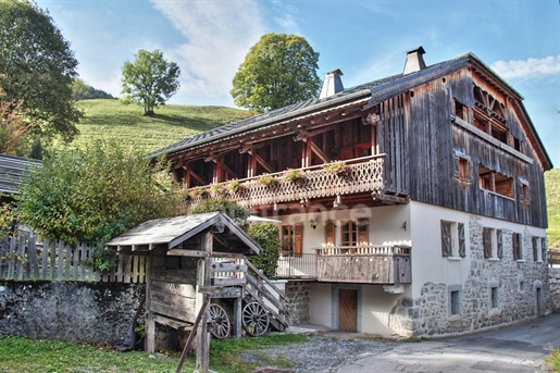 Dpt Haute-Savoie (74), in vendita Proprietà 18 vani - 10 Camere - 4 alloggi indipendenti - Terreno d