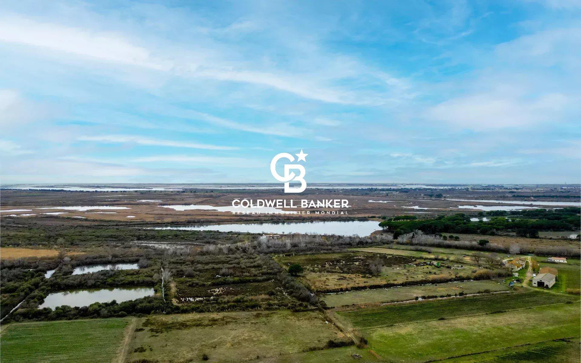 Mas - 175 sqm - Land 10 ha - Saint Laurent D’Aigouze