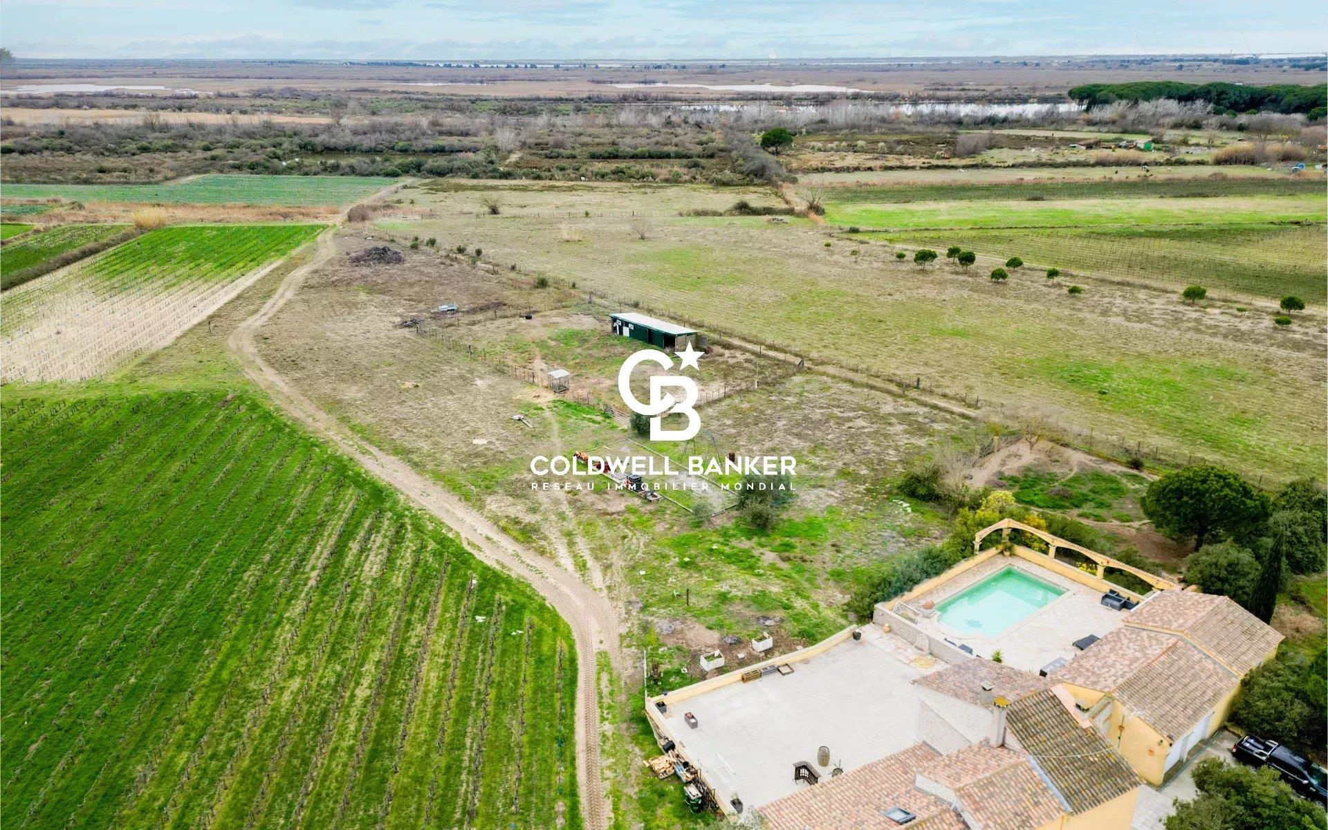 Mas - 175 sqm - Land 10 ha - Saint Laurent D’Aigouze