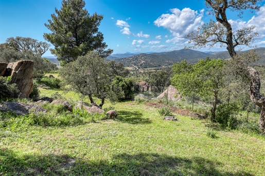 Exclusive: Building Land In Bormes Les Mimosas In An Exceptional Setting