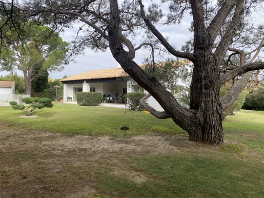Villa in the heart of Avignon's green belt