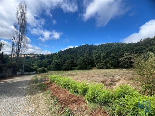 Tierra en el Porto, Penafiel