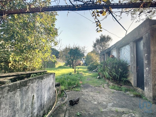 Startseite / Villa in Ovar, Aveiro