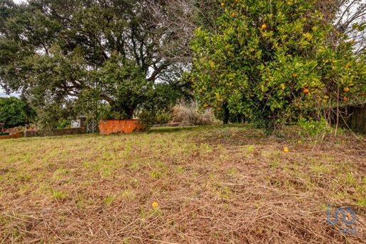 Terreno em Salreu de 1260,00 m²