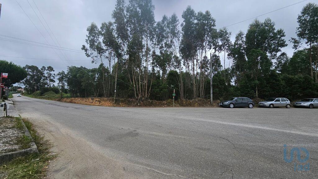 Ground in Loureiro with 8130,00 m²