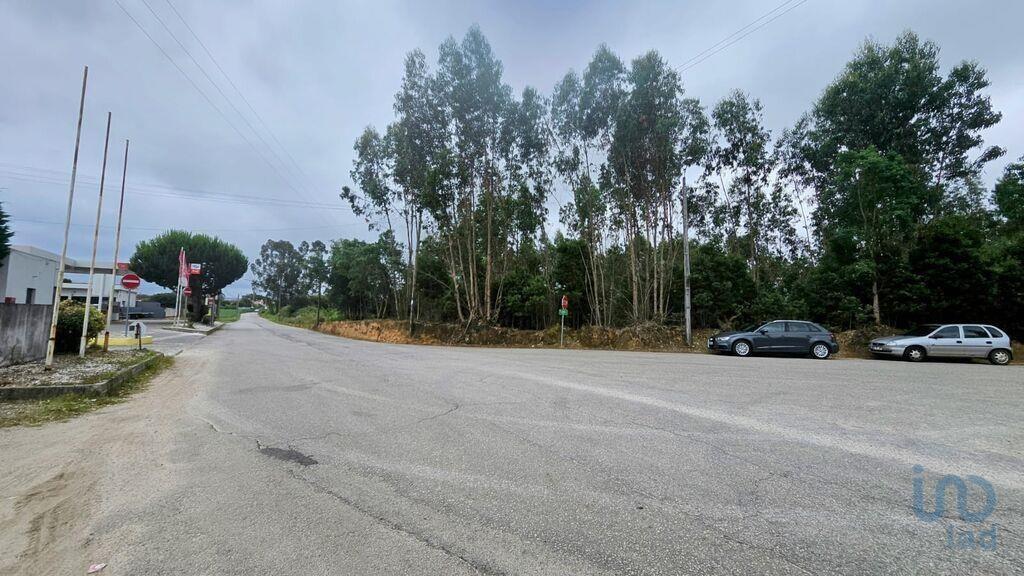 Ground in Loureiro with 8130,00 m²