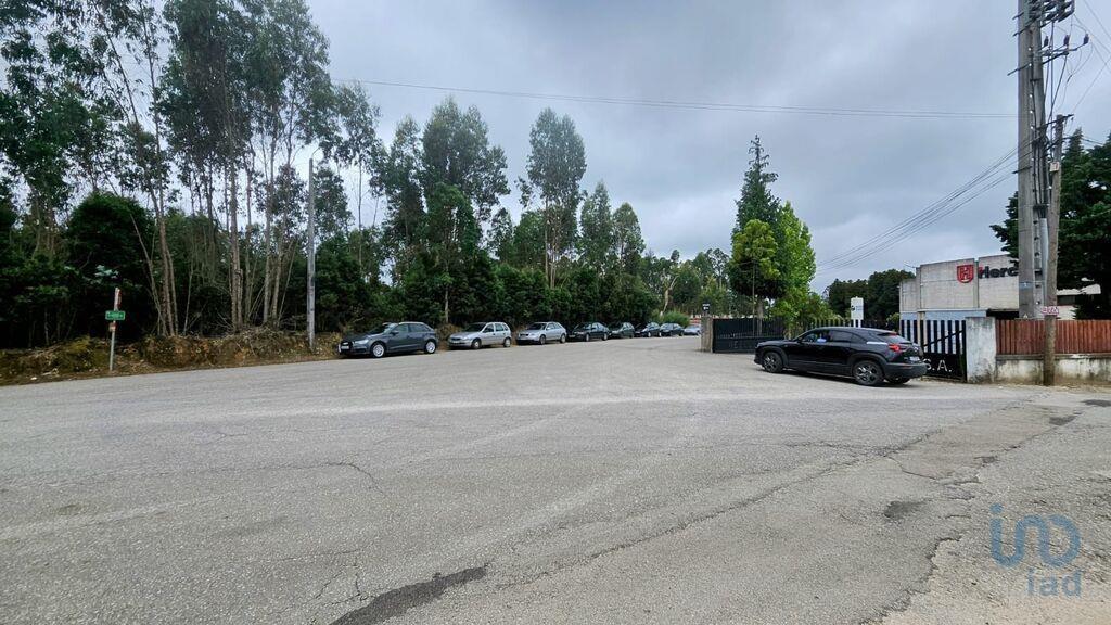 Ground in Loureiro with 8130,00 m²
