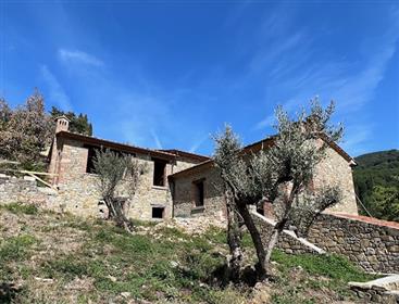 Charming and panoramic  countryhouse  on  hill a few steps from the medioval Tuscan village.