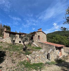 Casale panoramico in dolce collina a pochi passi dal borgo toscano
