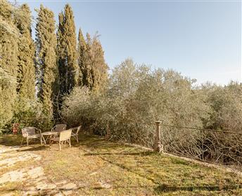 Charming countryhouse to be restored in Cetona