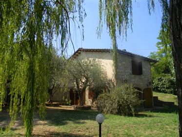 Landhaus umgeben von Olivenbäumen in einer exklusiven Landschaft, nur wenige Kilometer vom Zentrum 