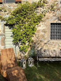 Authentic Tuscan mountain farmhouse Campo Cavoli