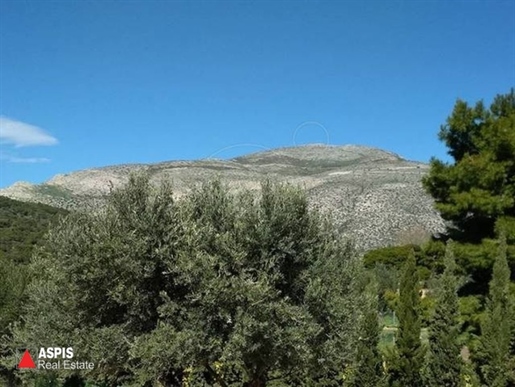 (For Sale) Residential Detached house || East Attica/Anavyssos - 100 Sq.m, 3 Bedrooms, 450.000€