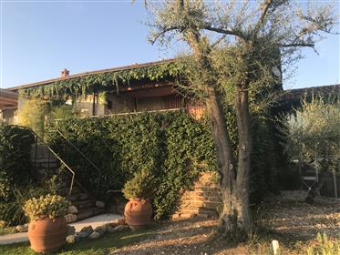 Таванско помещение в маслиновите горички с изглед към морето - близо до Рим