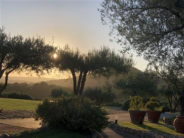 Loft in the olive groves with sea view - near Rome