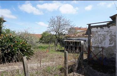 Farm to Recover in Gaeiras