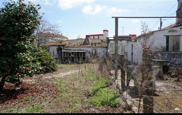 Farm to Recover in Gaeiras