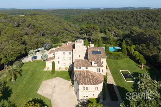 Exceptional estate between Valbonne and Mougins
