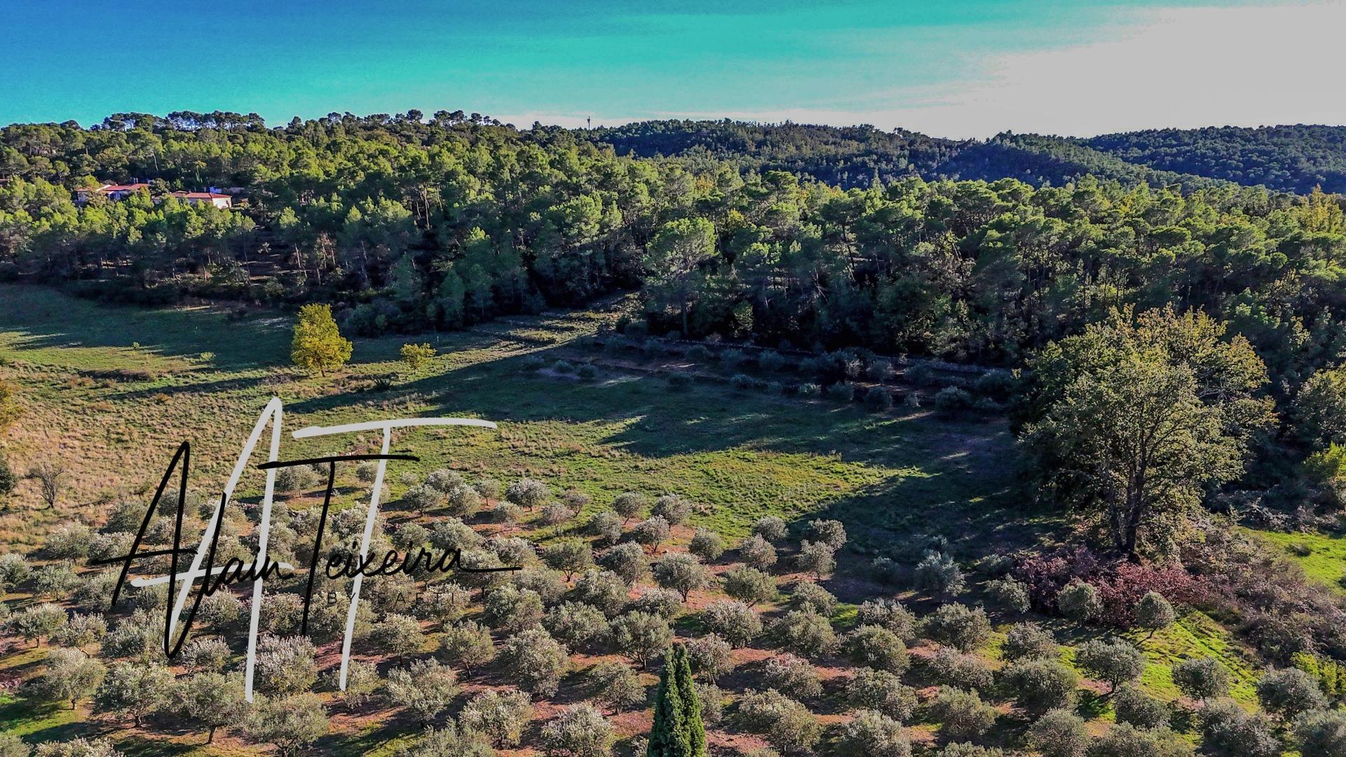 Purchase: Luxury property (83510)