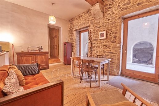 Appartement 4 pièces avec grande terrasse sur les berges du Rhône