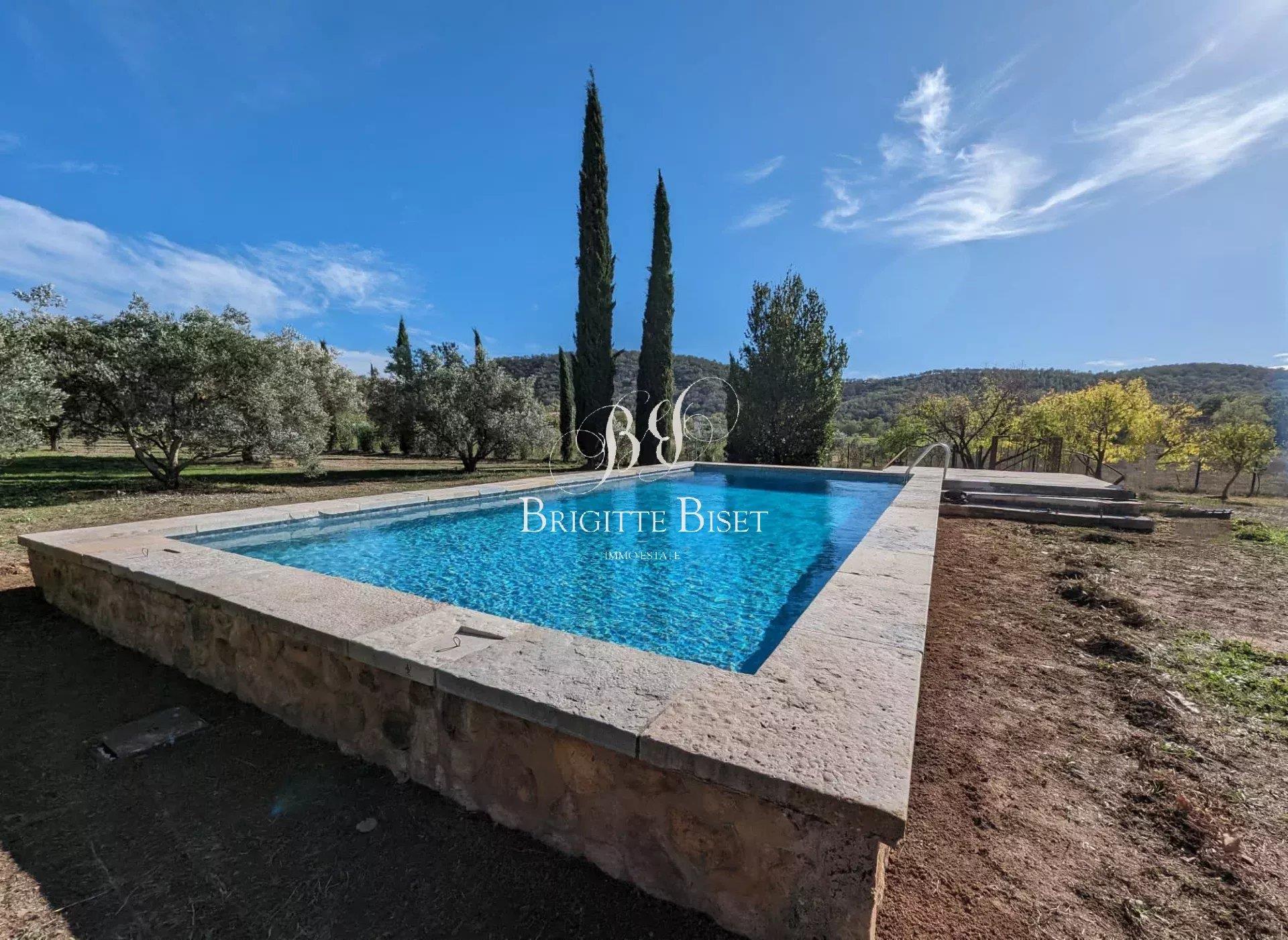 Superb Provencal property with olive grove!
