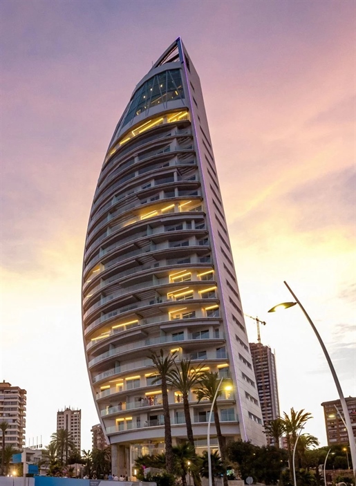 Luxury Apartment - Tower -