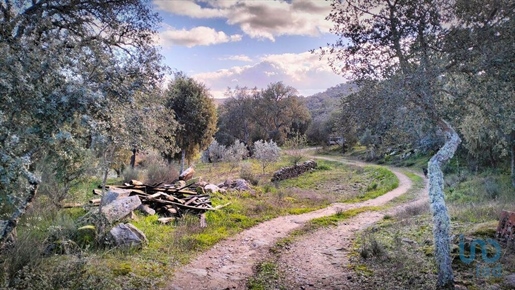 Tierra en el Guarda, Meda