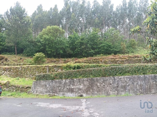 Terreno em Macieira de Cambra de 3600,00 m²