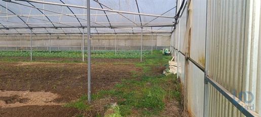 Agricultural Land in Ovar, São João, Arada e São Vicente de Pereira Jusã with 35000,00 m²