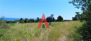 An excellent plot of land of 4200 sq.m., even and buildable, is for sale in Pefkohori, Halkidiki