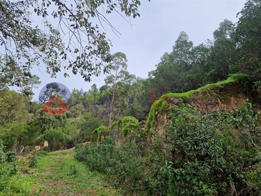 Terre avec ruine