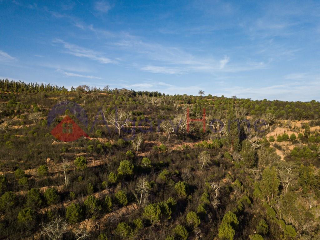Terreno Venta Odemira