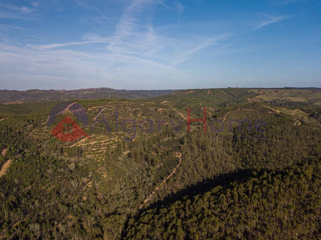 Terreno Venta Odemira