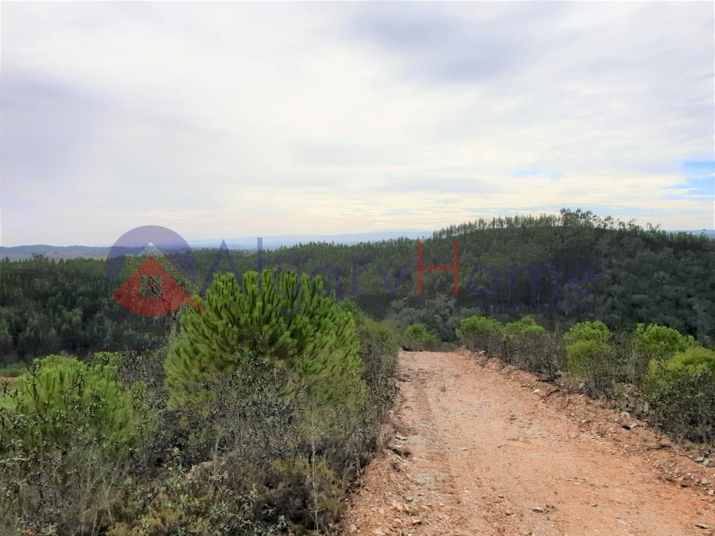Terreno Venta Odemira