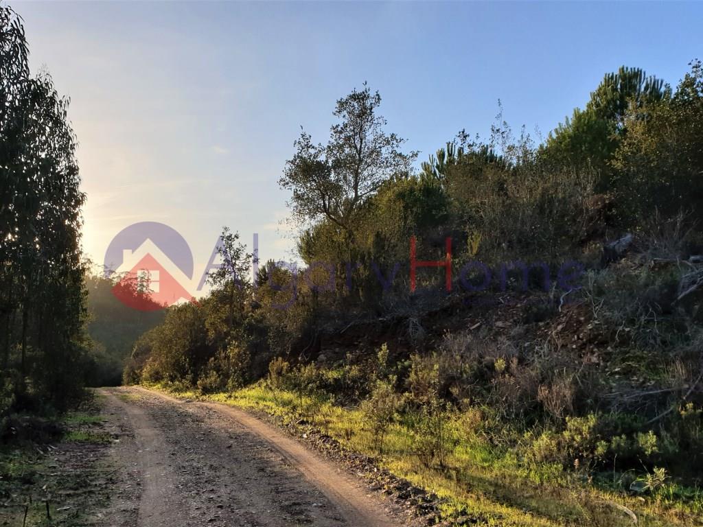 Terreno Venta Odemira