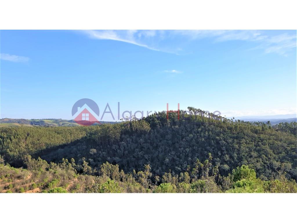 Terreno Venta Odemira