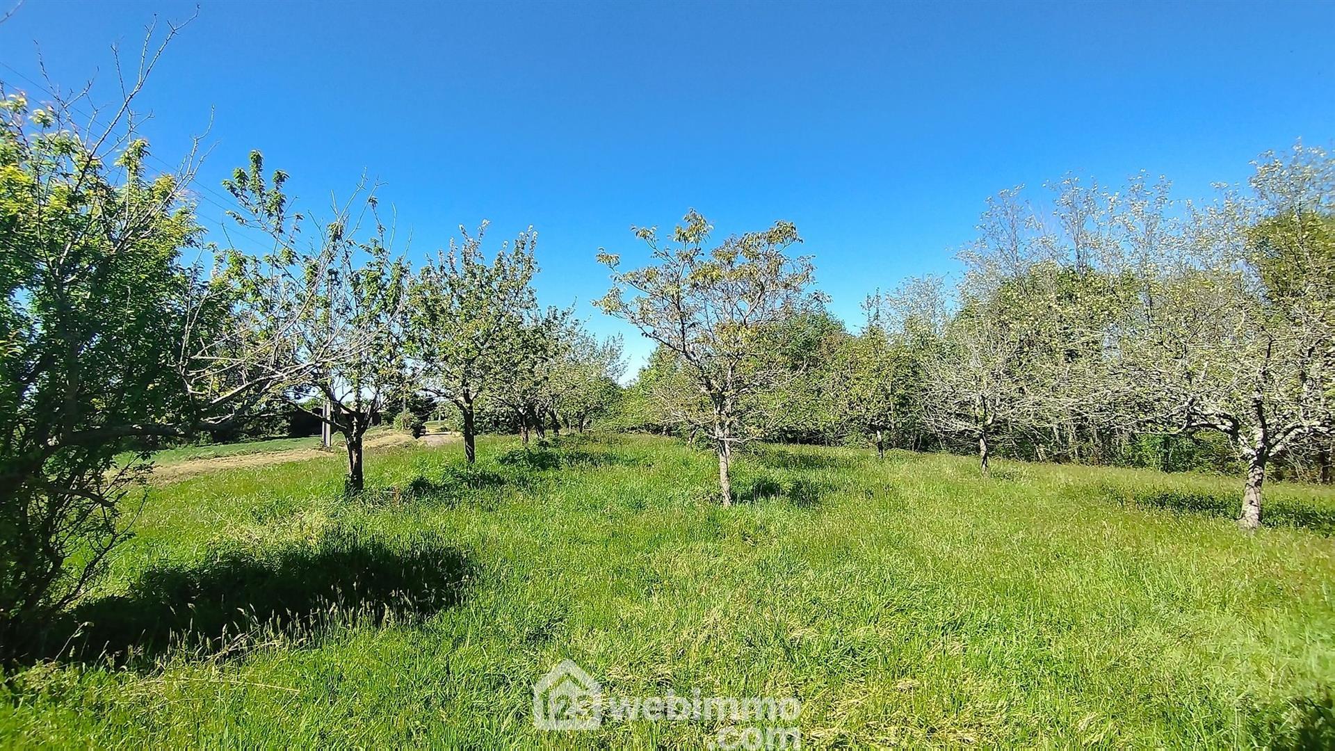 Farmhouse of 234 m² with barn of 250 m² and orchard, on 4 hectares of land - ideal for livestock fa
