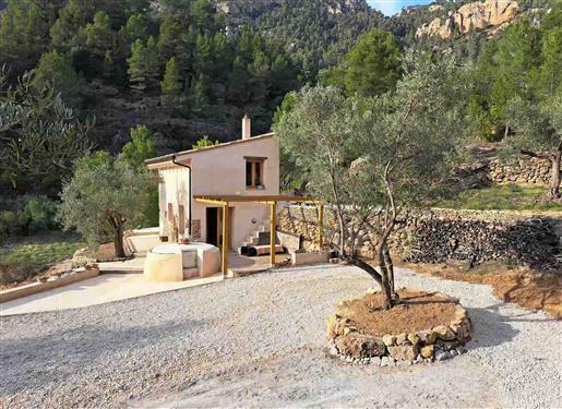 Finca, jossa on pieni talo ja oliivipuita