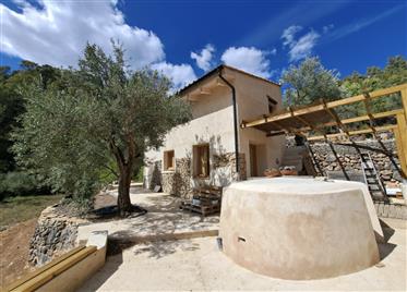 Finca med et lite hus og oliventrær