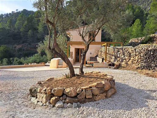 Finca med et lite hus og oliventrær