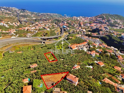 2 Lotes de terreno de 560m2 e 1360m2 para venda no Ribeiro Real, Cãmara de Lobos, Ilha da Madeira
