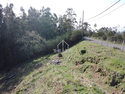 Terreno de 5310m2 na zona do Abrigo do Pastor - Rochão com palheiro e vista mar - Camacha, Santa Cru